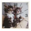 Часы настенные, серия: Животный мир, Котята, 35х35  см, микс фото 1