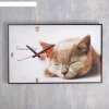 Часы-картина настенные прямоугольные Серая кошка, 37х60 см фото 1