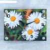 Часы настенные, серия: Цветы, Ромашки, 20х26 см  микс фото 1