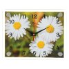 Часы настенные, серия: Цветы, Ромашки, 20х26 см  микс фото 3