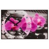 Часы настенные, серия: Цветы, Магия Орхидей, 37х60  см, микс фото 3