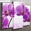 Часы настенные модульные «Фиолетовые орхидеи», 60 x 80 см фото 2