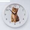 Часы настенные, серия: Животный мир, Котенок, плавный ход, d=28 см фото 1