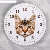 Часы настенные Кот, d=23.5. плавный ход, стрелки микс фото 1