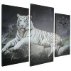 Часы настенные модульные «Белый тигр», 60 x 80 см фото 3