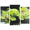 Часы настенные модульные «Зелёные орхидеи на камнях», 60 x 80 см фото 1