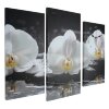 Часы настенные модульные «Белые орхидеи на камнях», 60 x 80 см фото 2