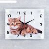 Часы настенные, серия: Животный мир, Котенок, 20х26  см, микс фото 1