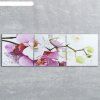 Часы настенные, серия: Цветы, модульные Орхидеи, 35х110  см, микс фото 1
